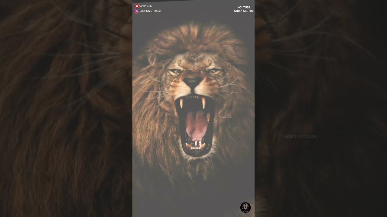 1 muharram ,new status coming soon hazrat umar r.a , promo