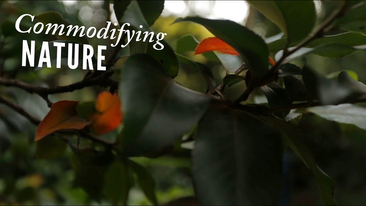 สิ่งแวดล้อมภายนอก 2022 Update Commodifying Nature