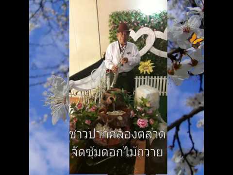 25 มกราคม 2017