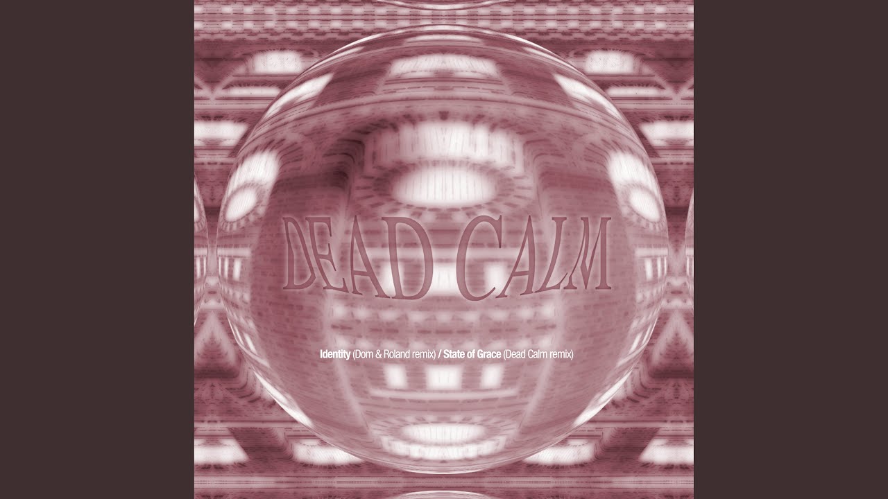 Identity (Dom & Roland Remix)