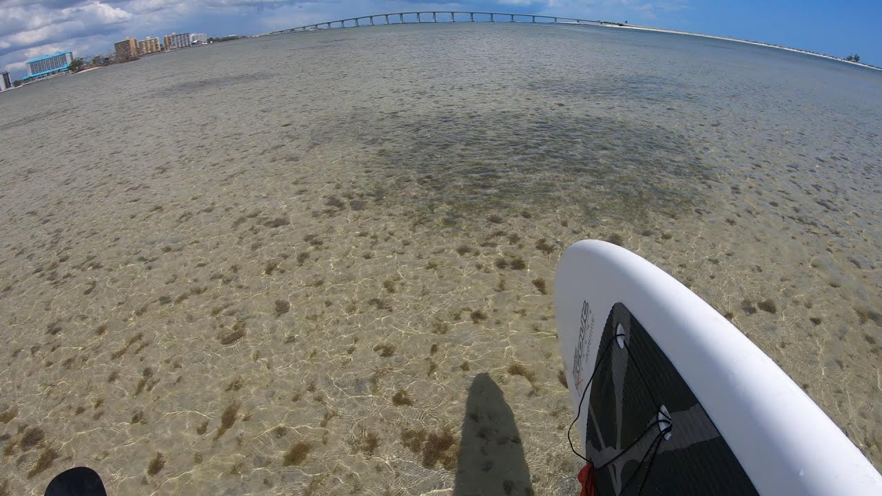 Paddleboarding San Carlos Bay
