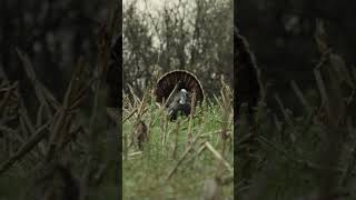 How To Use The All-New Water Features Overlay In Huntstand For Turkey