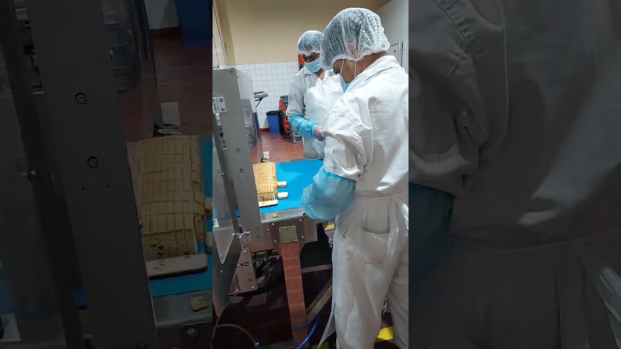 Ultrasonic cake cutter