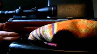 Modified Chinese B3 air rifle - recoil