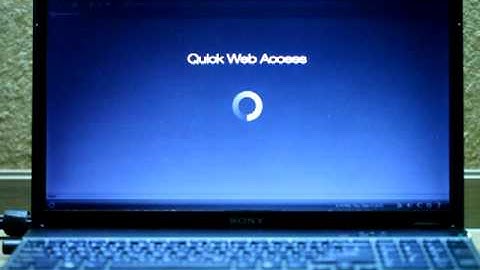 VAIO E - Quick Web Access Demonstration