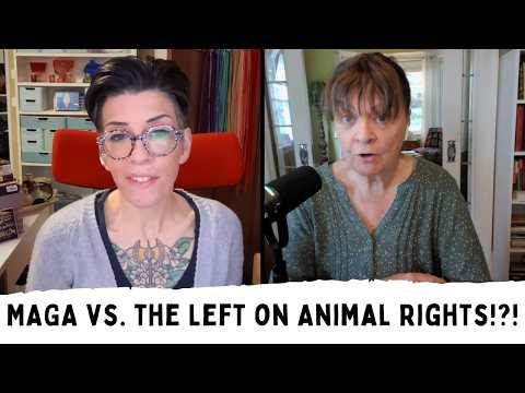 The Hen Report: “Giant Mainstream Numbers” | Animal Rights Weekly News