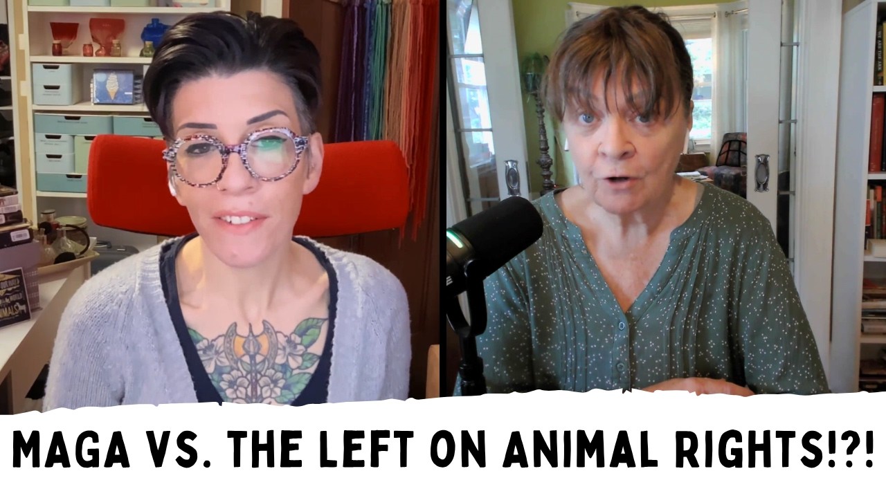 The Hen Report: “Giant Mainstream Numbers” | Animal Rights Weekly News