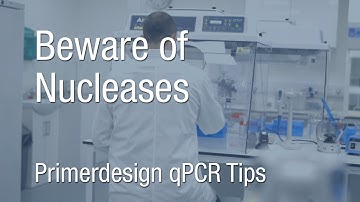 Primerdesign qPCR Tips | Beware of Nucleases