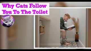 Revealed: The Reason Why Cats Follow You to the Bathroom