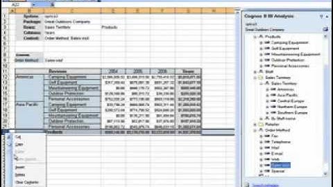 Cognos Analysis for Excel