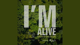 Video thumbnail of "Caetano Veloso - I'm Alive (Floresta da Tijuca Sessions)"