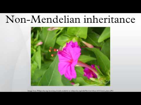 Non-Mendelian inheritance