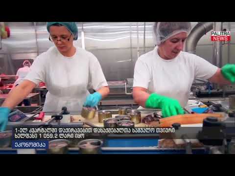 1-ელ კვარტალში დაქირავებით დასაქმებულთა საშუალო თვიური ხელფასი 1 059.2 ლარი იყო