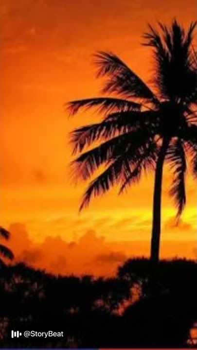 Tony q sunset jingga story wa