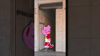 Amy Rose Thank You For 500 Followers