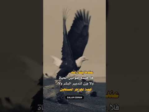 عندما يشاء الله