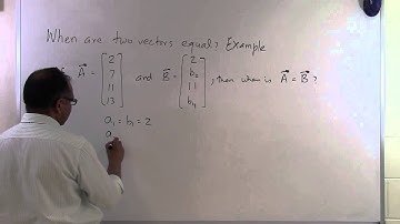 Chapter 04.02: Lesson: When Are Two Vectors Equal?: Example