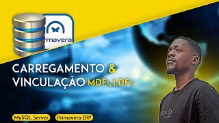 Como Configurar🔧o SQL Server e Restaurar Bases MDF e LDF para o PRIMAVERA ERP | Caso - Leed Feast