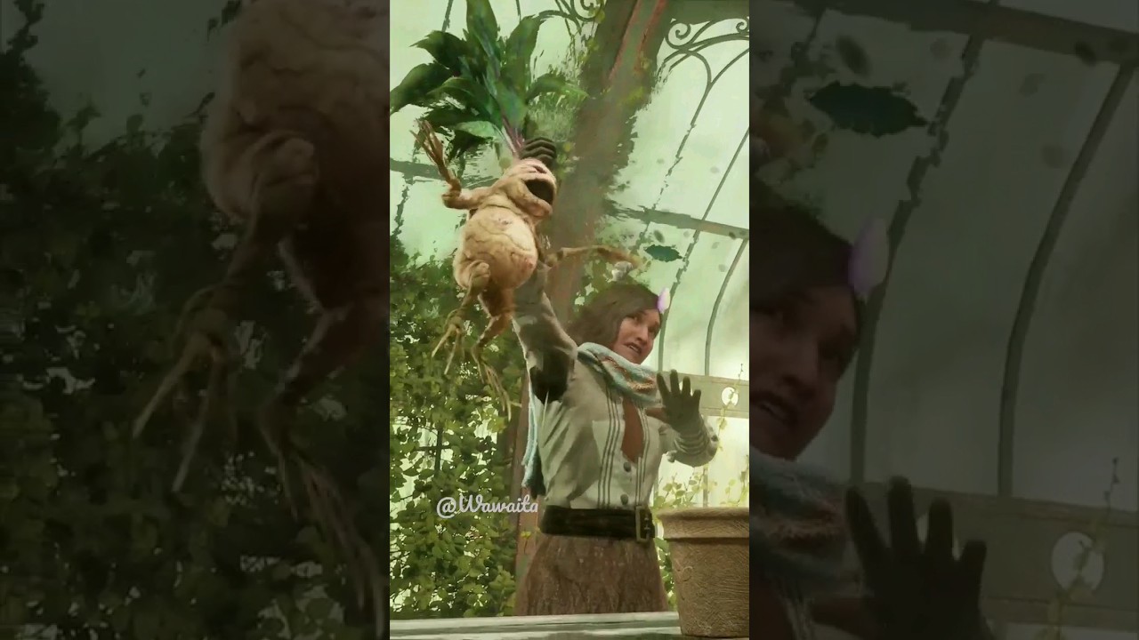 The plant cries like a baby 😂 