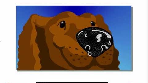 Lucid Exact Spelling