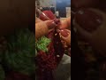 Very Simple Crochet Livemusic Angmgamisteryongliwanag Food For Beginners Countrymusic Music Very Simple Crochet Livemusic Angmgamisteryongliwanag Food For Beginners Countrymusic Music