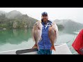 CRAZY SNAPPER SESSION NEW ZEALAND | Part 2 the final challenge