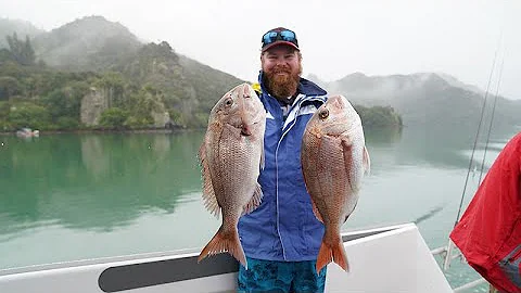 CRAZY SNAPPER SESSION NEW ZEALAND | Part 2 the final challenge