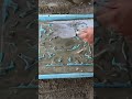 Special mold decoration process #molding #craft #design #handmade