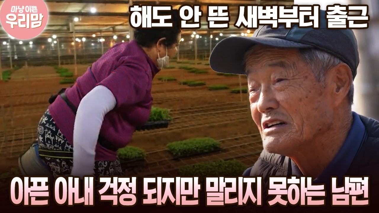 해도 안 뜬 새벽부터 출근 아픈 아내 걱정 되지만 말리지 못하는 남편 [마냥 이쁜 우리맘 39회-1]