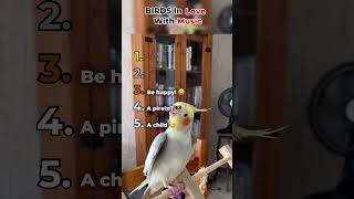 Birds singing??? 🐦 🎤