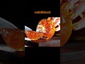 ASMR cutting AI Fruit🍊