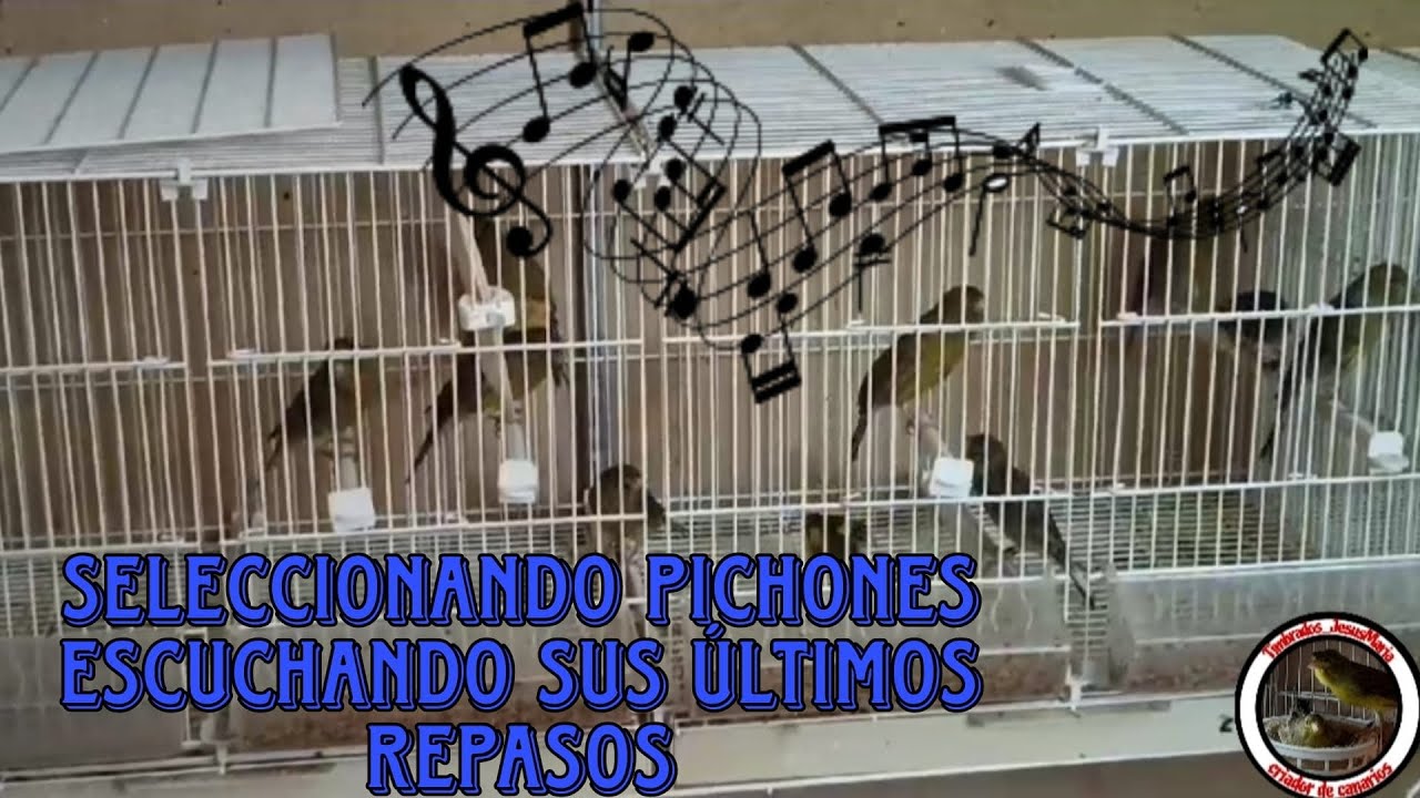 TIMBRADOS ORIGINALES REPASANDO