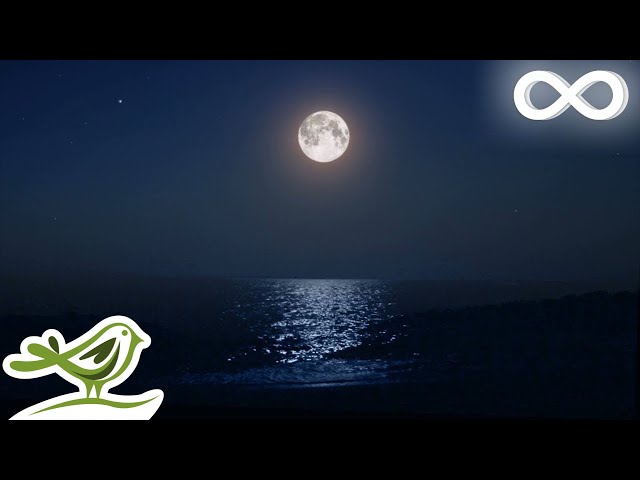 Ocean Waves: Sleep With Relaxing Music Under The Moon class=