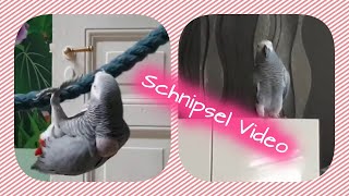 Lilo & Lotte Schnipsel-Video