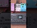 Dulcet Voice sampled into Octatrack + effects    #shorts