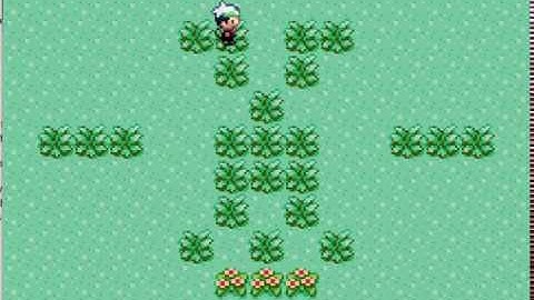 Pokemon Emerald Bootleg Edition (JavaFX) - 2