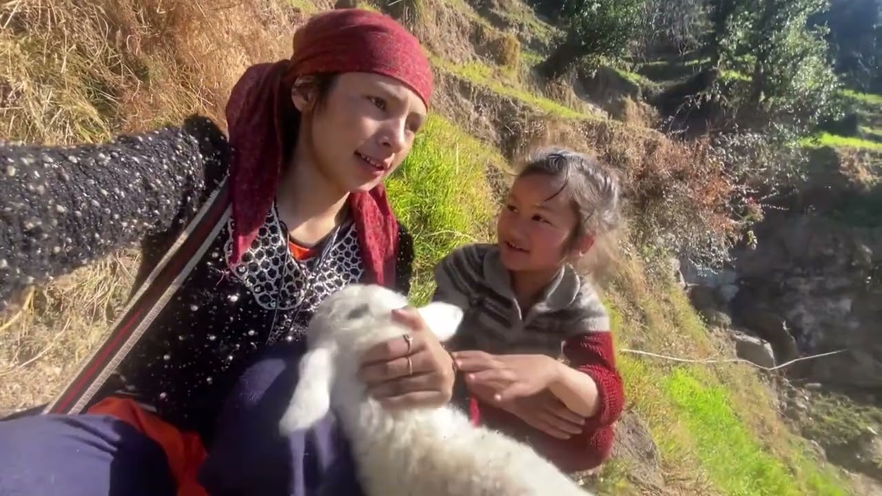 Y ky ho gya aj😆😆😆😆