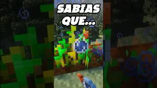 Sabias que los cultivos de minecraft SE PUEDEN REGAR #minecraft #survival #physics #humor #mod