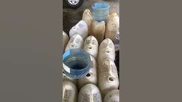 Cung cấp cá thác giống-0903153101