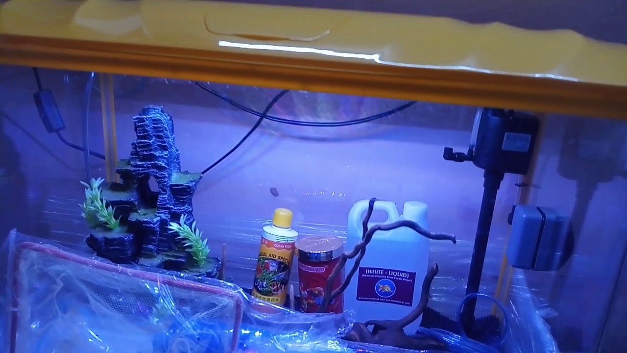 My New Fish Tank Aquarium 2020 Part 01 YouTube