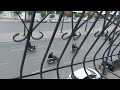 الرجاء البيضاوي ديما البلبالة هههههههه 