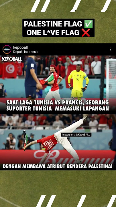 Inilah momen suporter Tunisia memasuki lapangan membawa bendera Palestina #shorts #worldcup