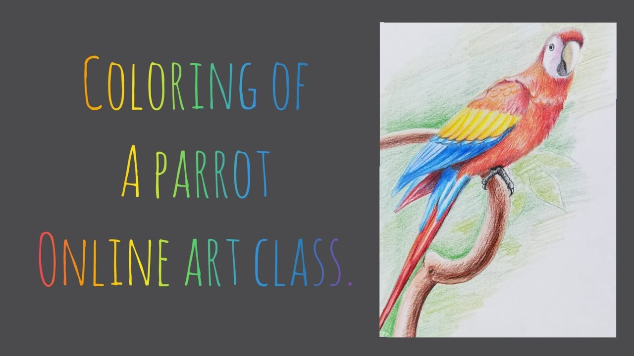 How to color a parrot.(Part 2)with Vibha. - YouTube