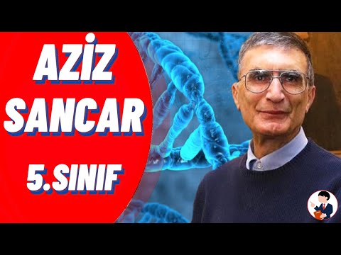 5.Sınıf Türkçe Dersi AZİZ SANCAR Dinleme Metni