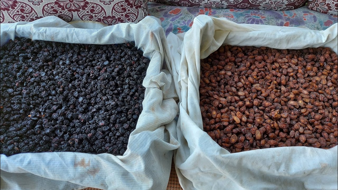 KURU ÜZÜM NASIL YAPILIR? İÇİ BOŞALMAYAN KURU ÜZÜM TARİFİ💯💥💯 - YouTube