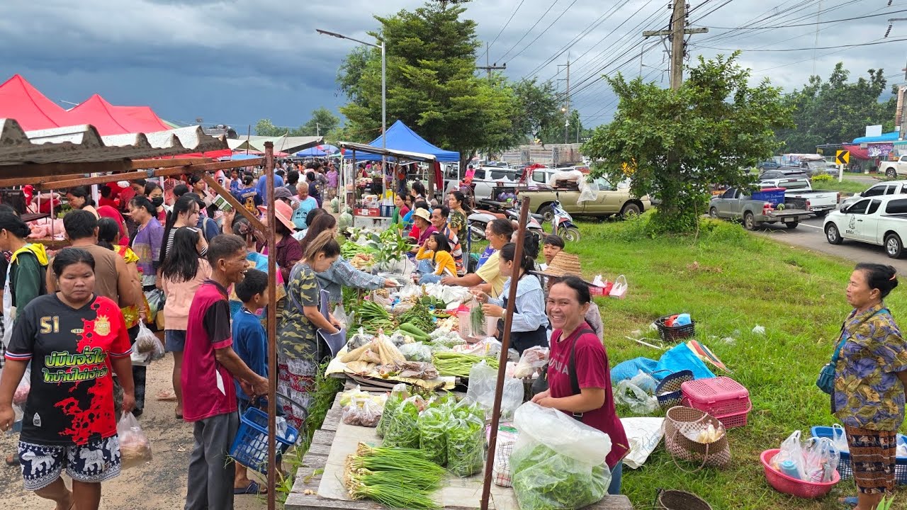 #ชนบทอีสาน ออกแล้วเห็ดปลวกข้าวดอ | ตลาดเช้าวันอาทิตย์บ้านหัวนา เขมราฐ อุบลราชธานี