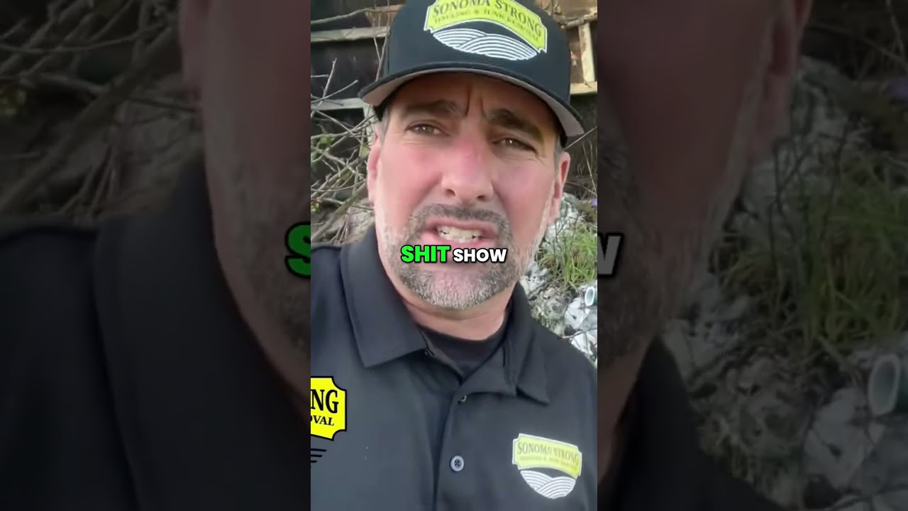 A Pile Of 10-year old Dirty Diapers 😲