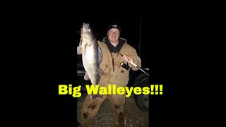 kastking walleye rods