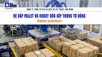 Hệ Cấp Pallet và Robot Bốc Xếp Thùng Tự Động