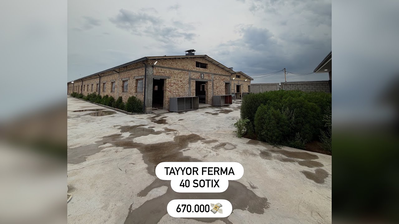 Chorvachi Akalarimiz Uchun 40 Sotixlik Tayyor Ferma✅